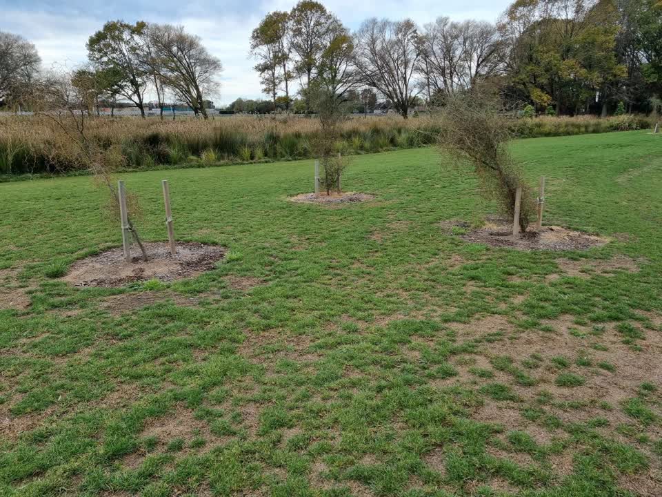 The photograph attached to this parks report