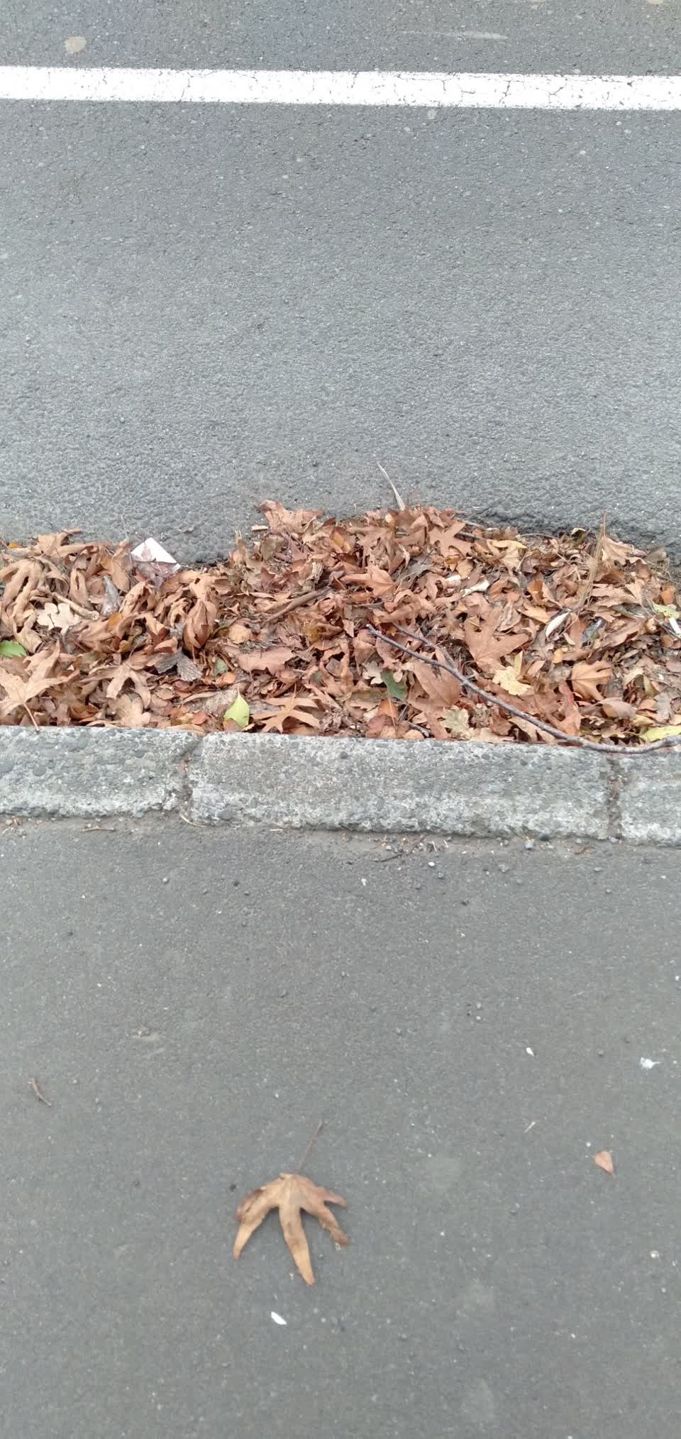 The photograph attached to this flooding report