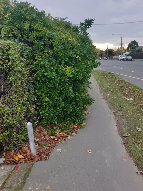 Roading/Streets, a report photo