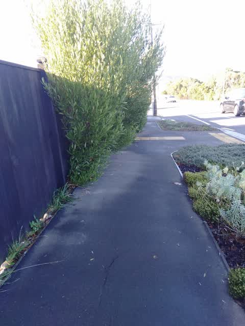 Roading/Streets, a report photo