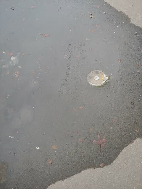 Water Leak, a report photo
