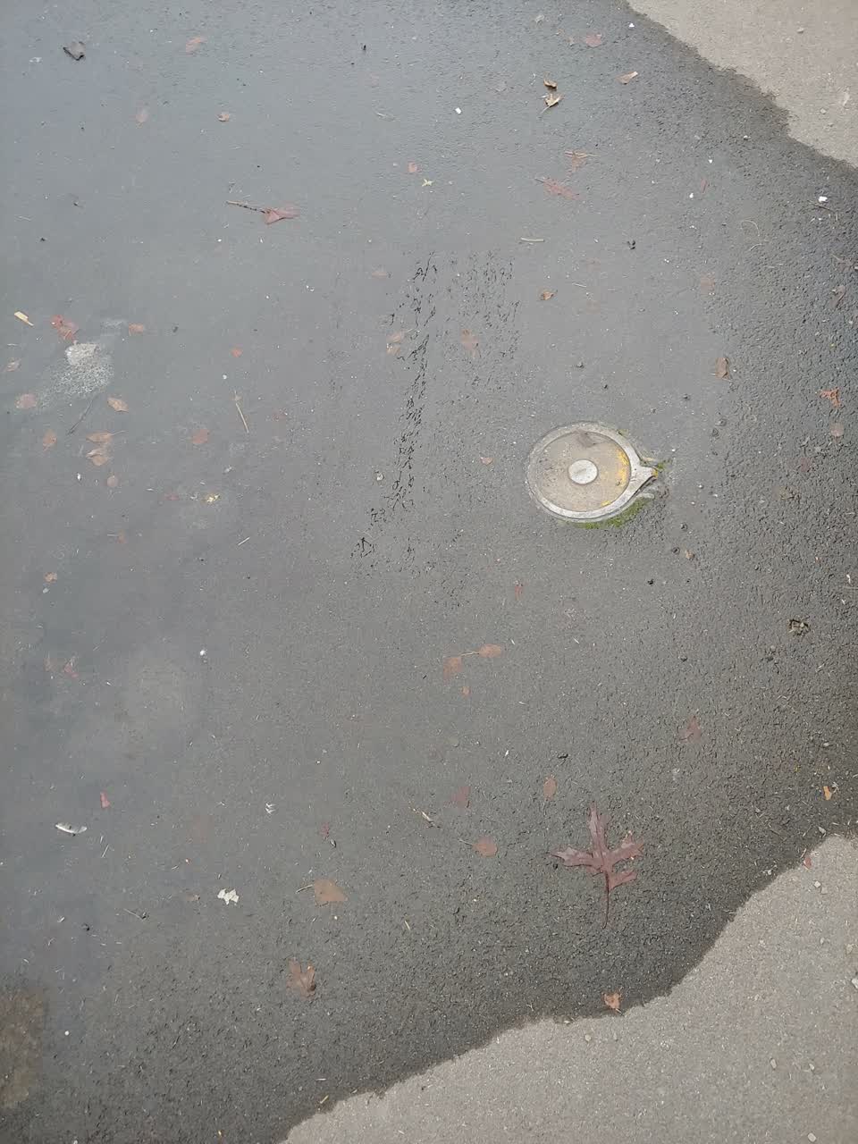 The photograph attached to this water leak report
