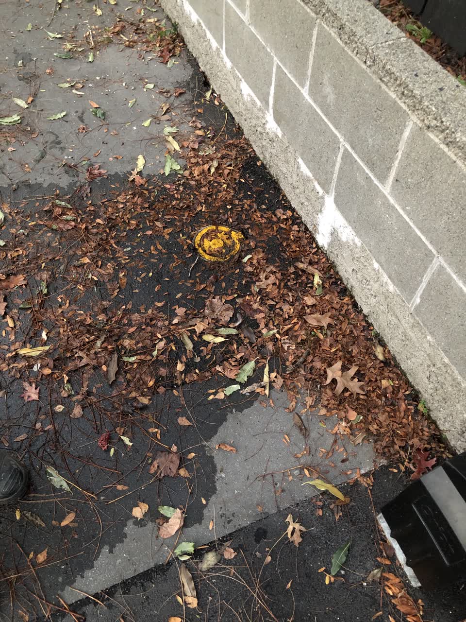 The photograph attached to this water leak report