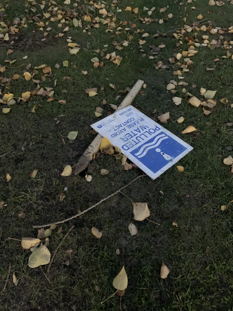 The photograph attached to this parks report