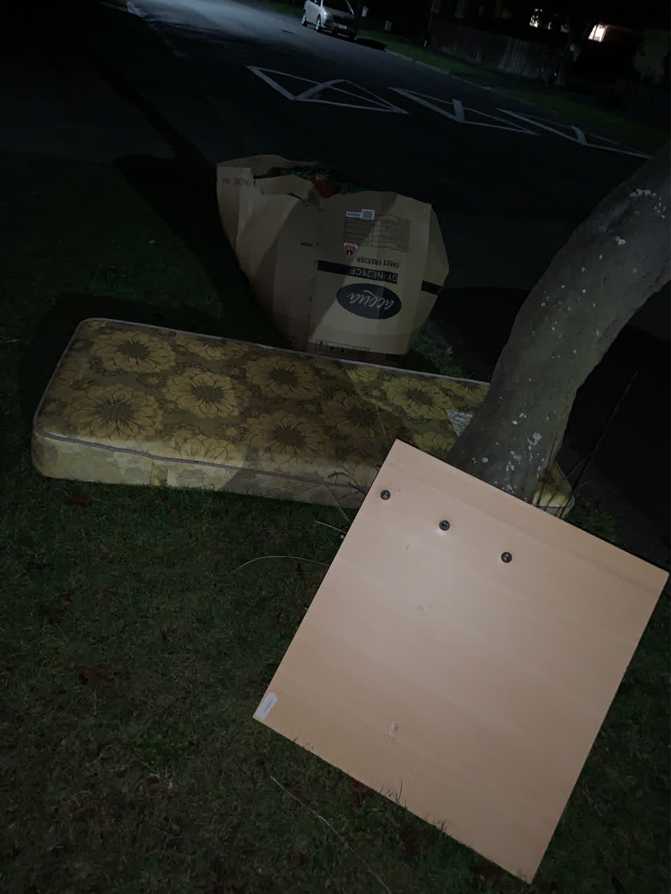 The photograph attached to this rubbish/recycling report