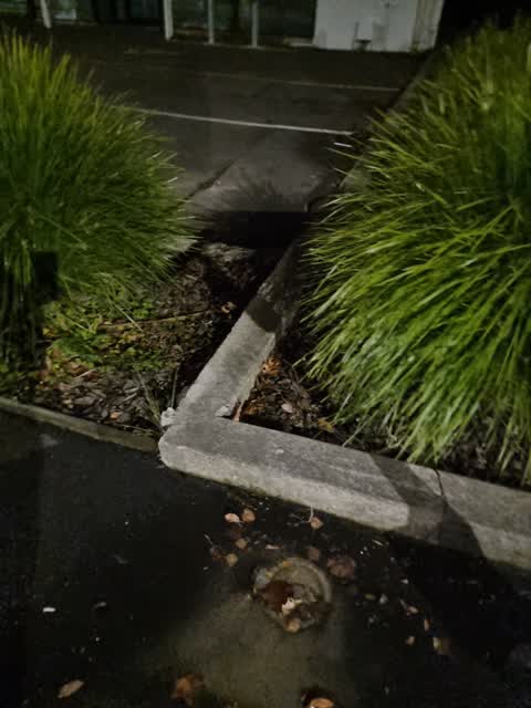 Water Leak, a report photo