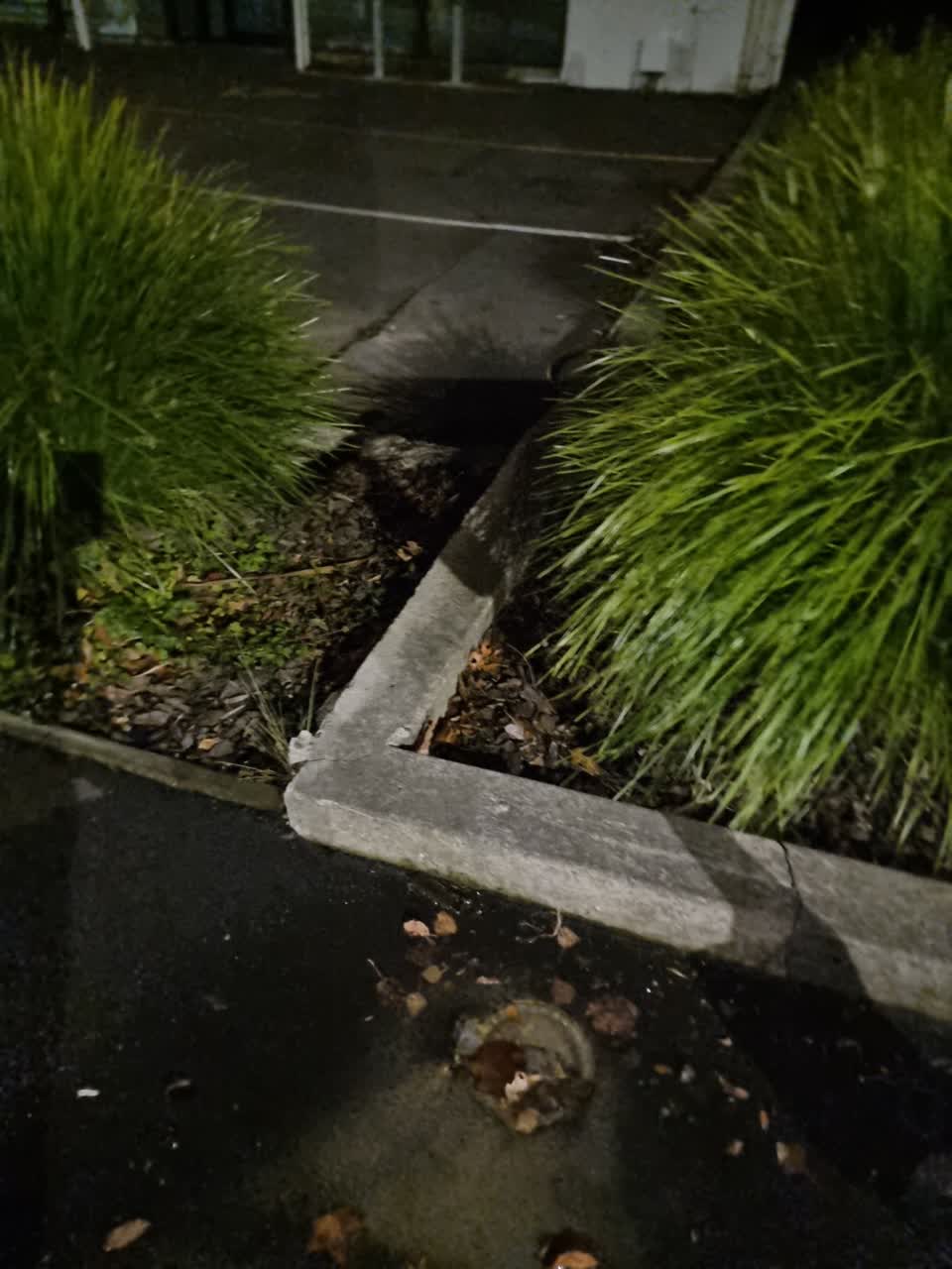 The photograph attached to this water leak report