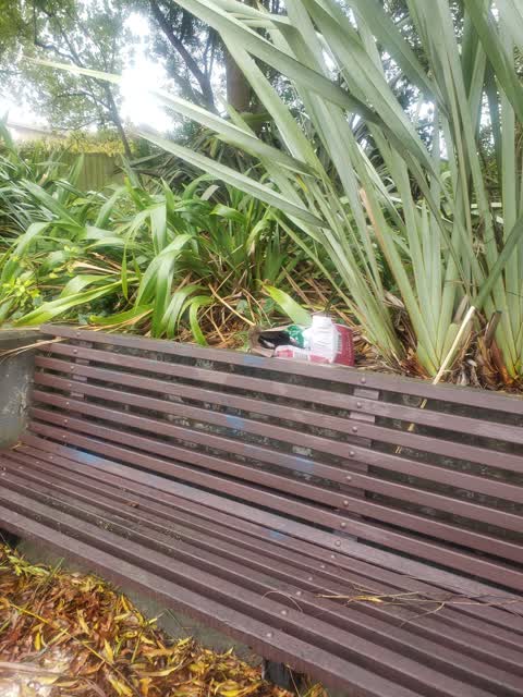Rubbish/Recycling, a report photo