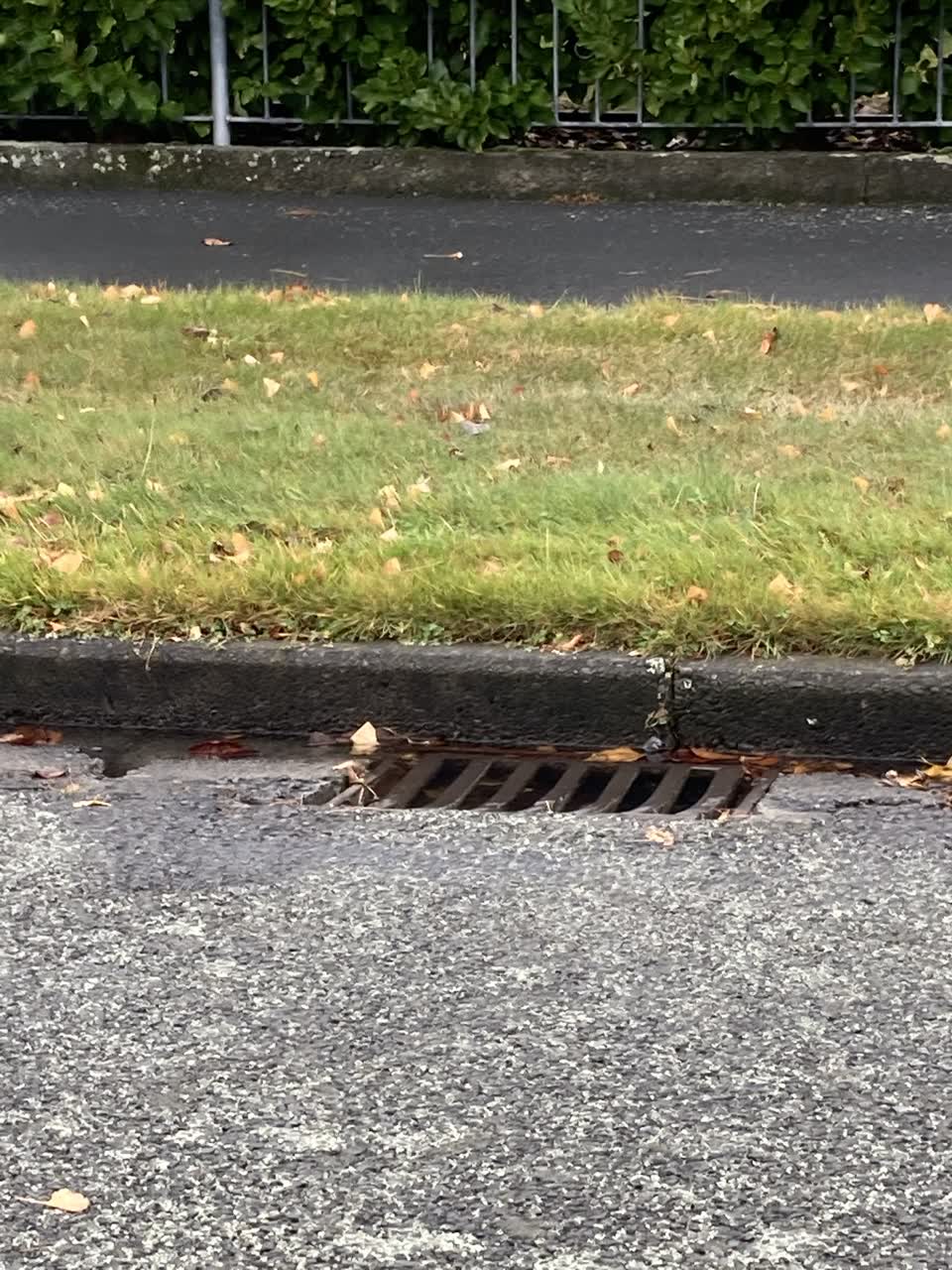 The photograph attached to this sewer - leak / blockage report