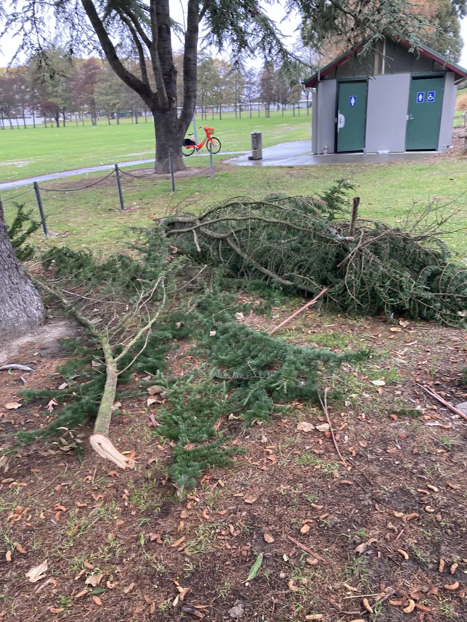 The photograph attached to this parks report
