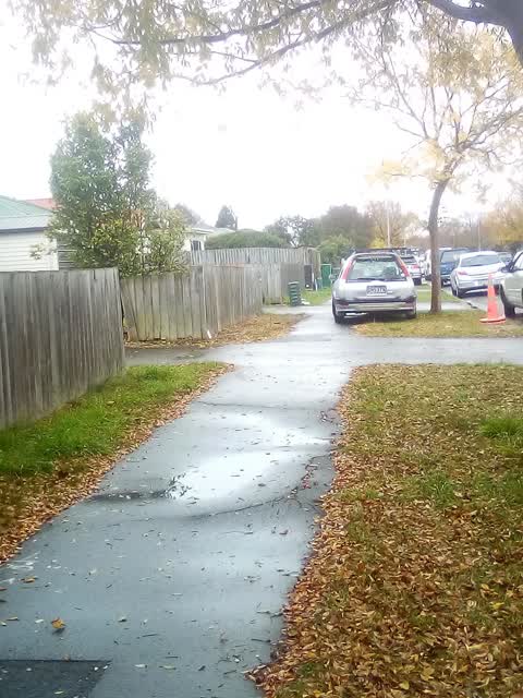 Roading/Streets, a report photo