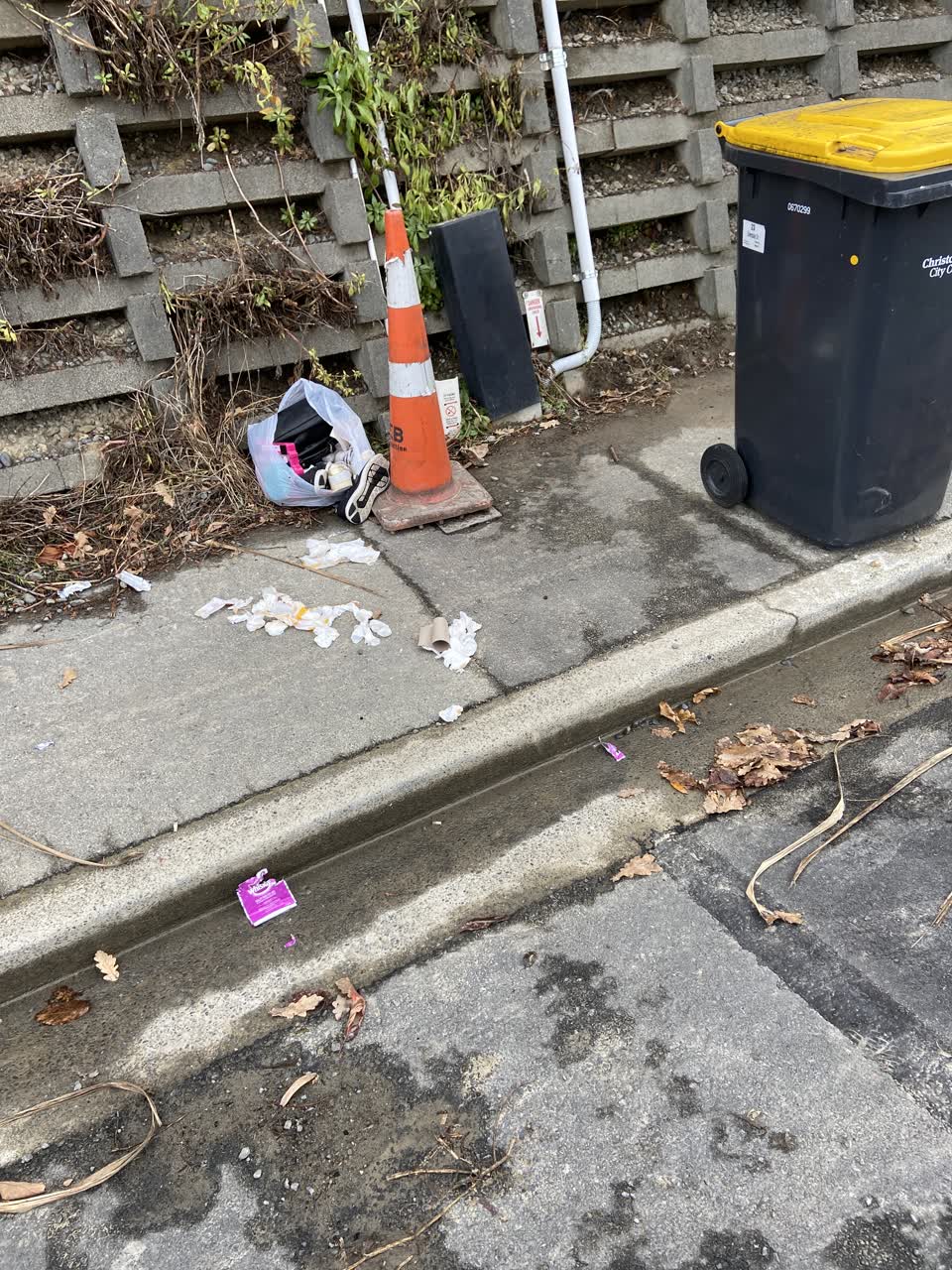 The photograph attached to this rubbish/recycling report