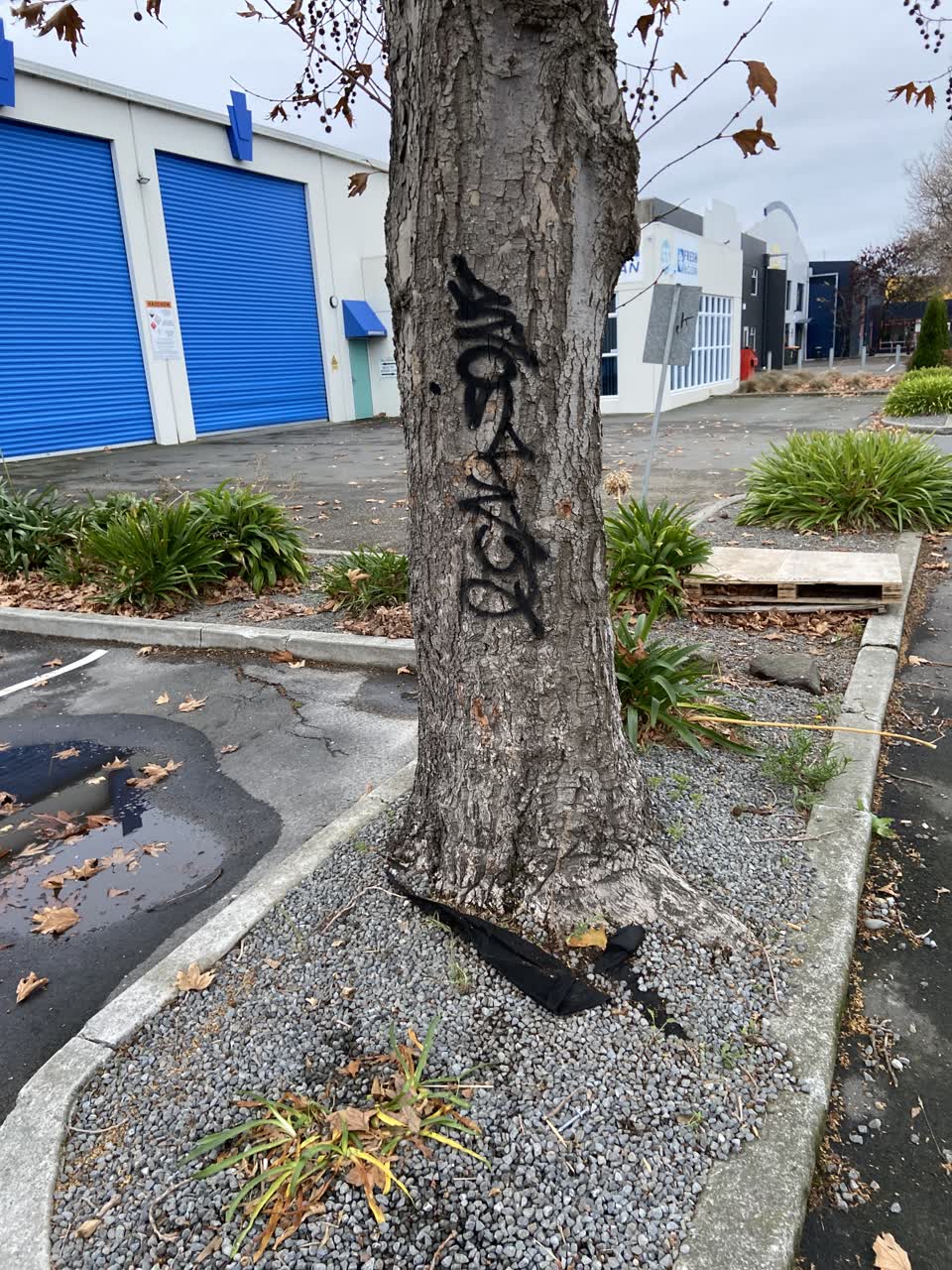 The photograph attached to this graffiti report