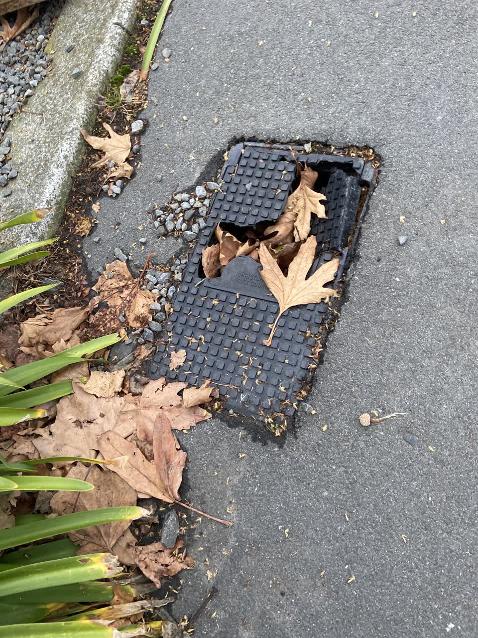 The photograph attached to this roading/streets report