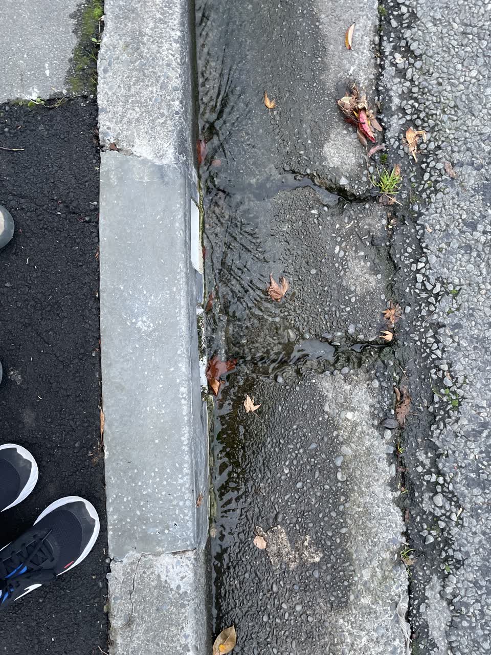 The photograph attached to this wastewater/stormwater report