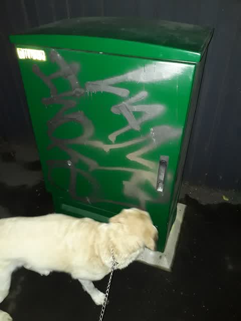 Graffiti, a report photo