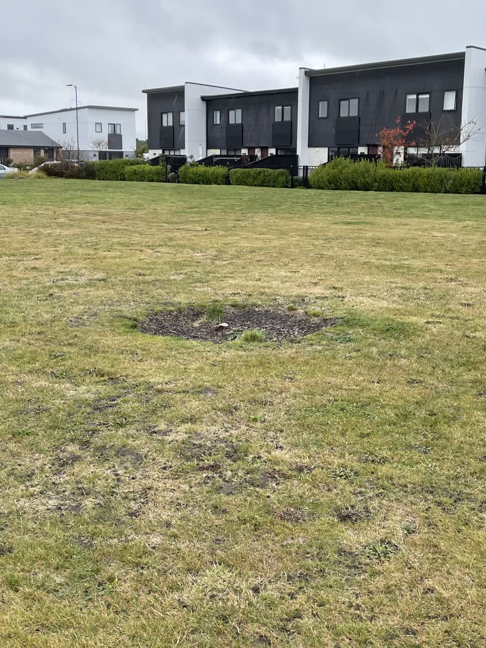 The photograph attached to this parks report