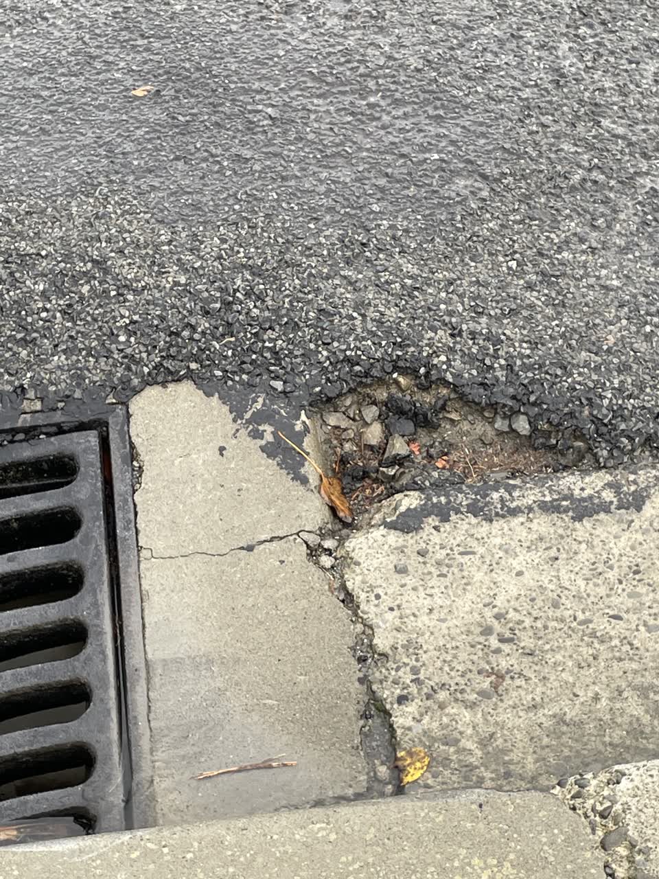 The photograph attached to this roading/streets report