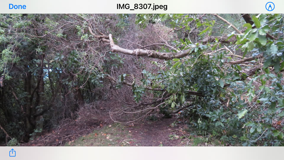 The photograph attached to this parks report