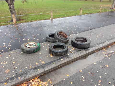 Rubbish/Recycling — a report photo