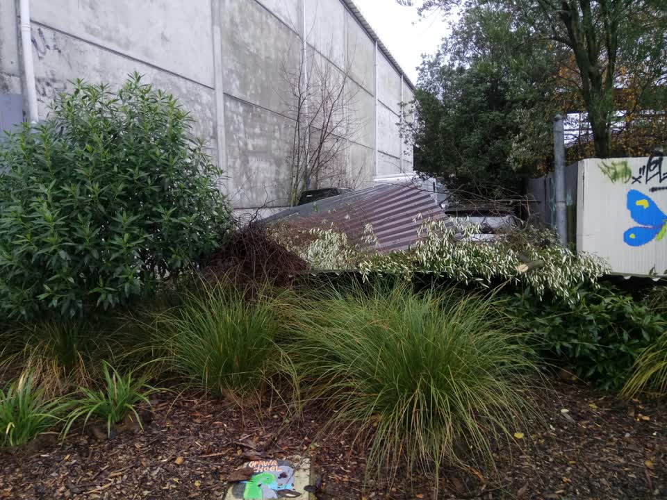 The photograph attached to this parks report