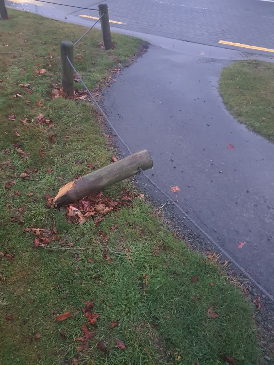 The photograph attached to this parks report