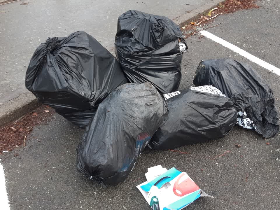 The photograph attached to this rubbish/recycling report