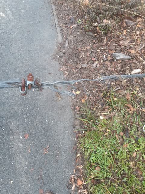 Parks, a report photo