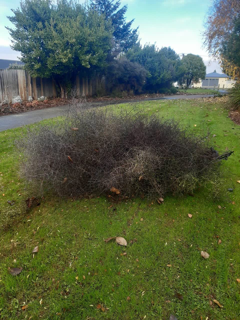 The photograph attached to this parks report