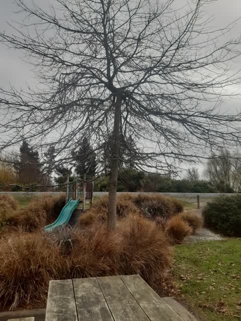 Parks, a report photo