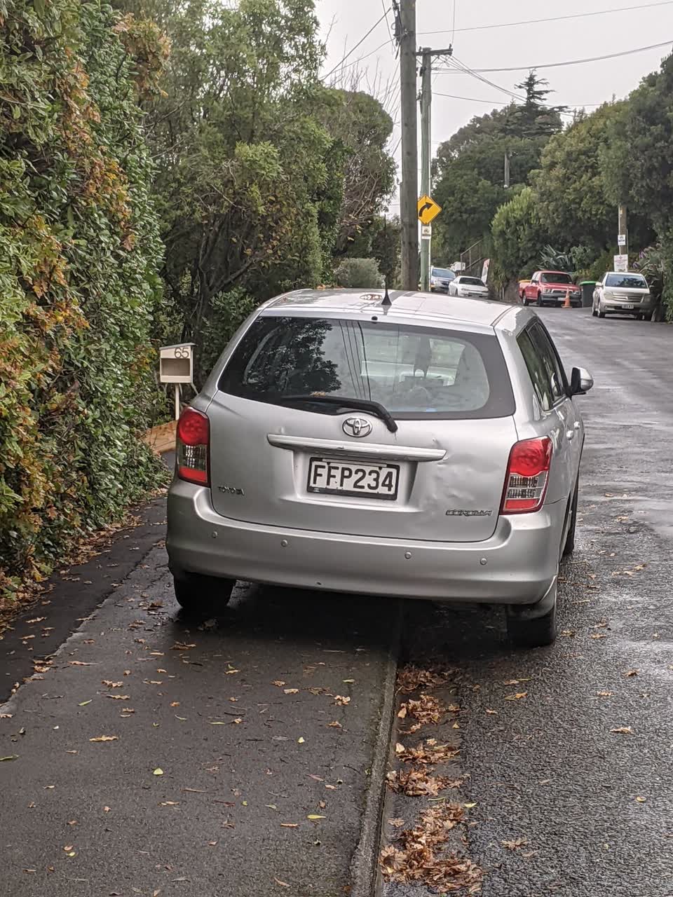 The photograph attached to this roading/streets report