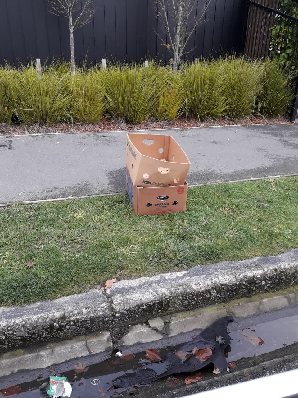 The photograph attached to this rubbish/recycling report