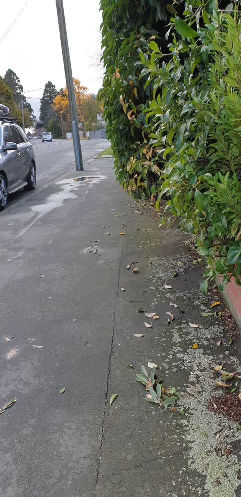 Roading/Streets, a report photo