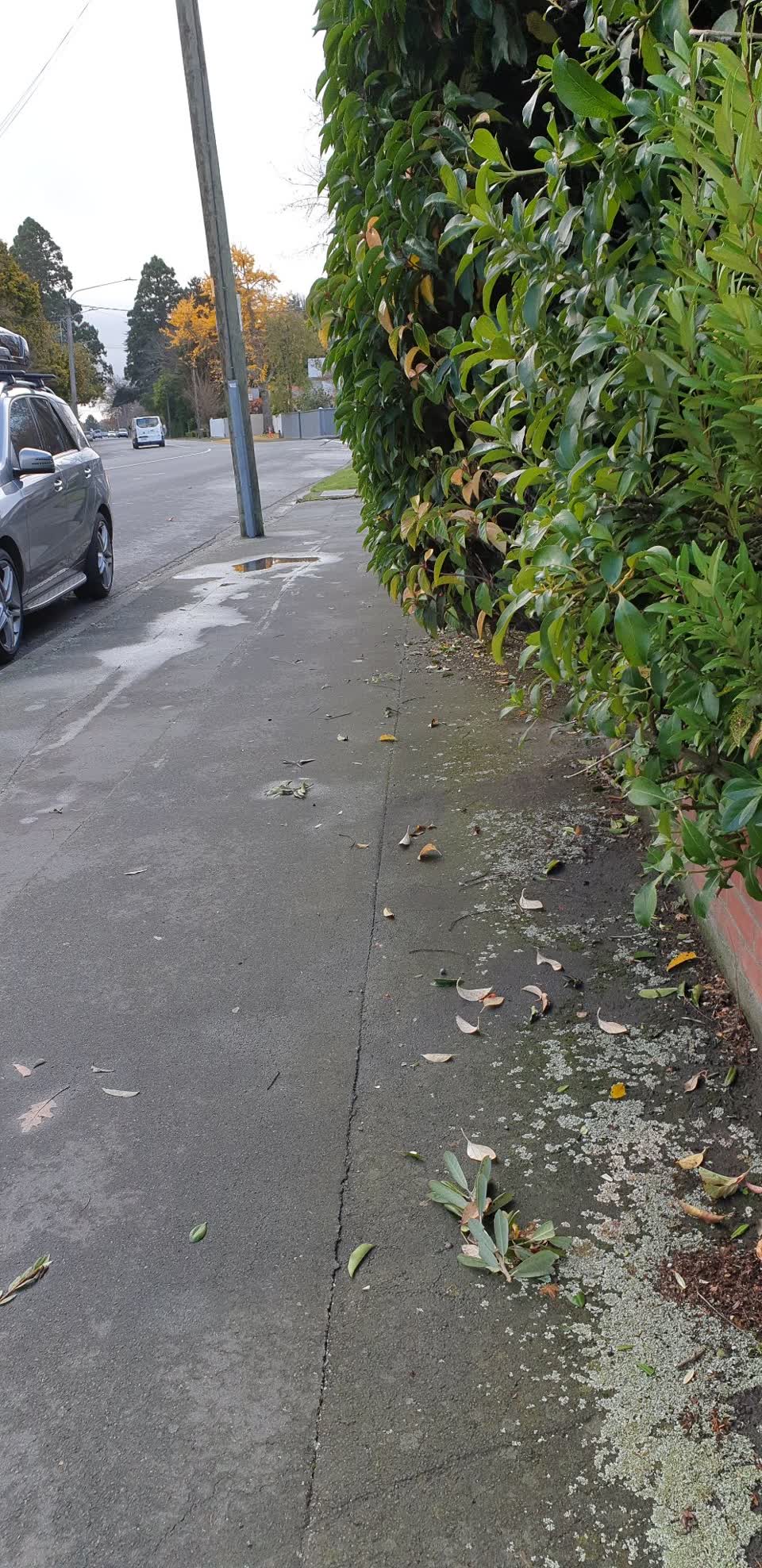 The photograph attached to this roading/streets report