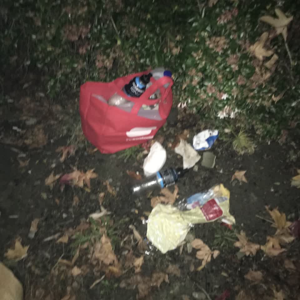The photograph attached to this rubbish/recycling report