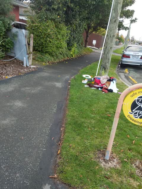 Rubbish/Recycling, a report photo