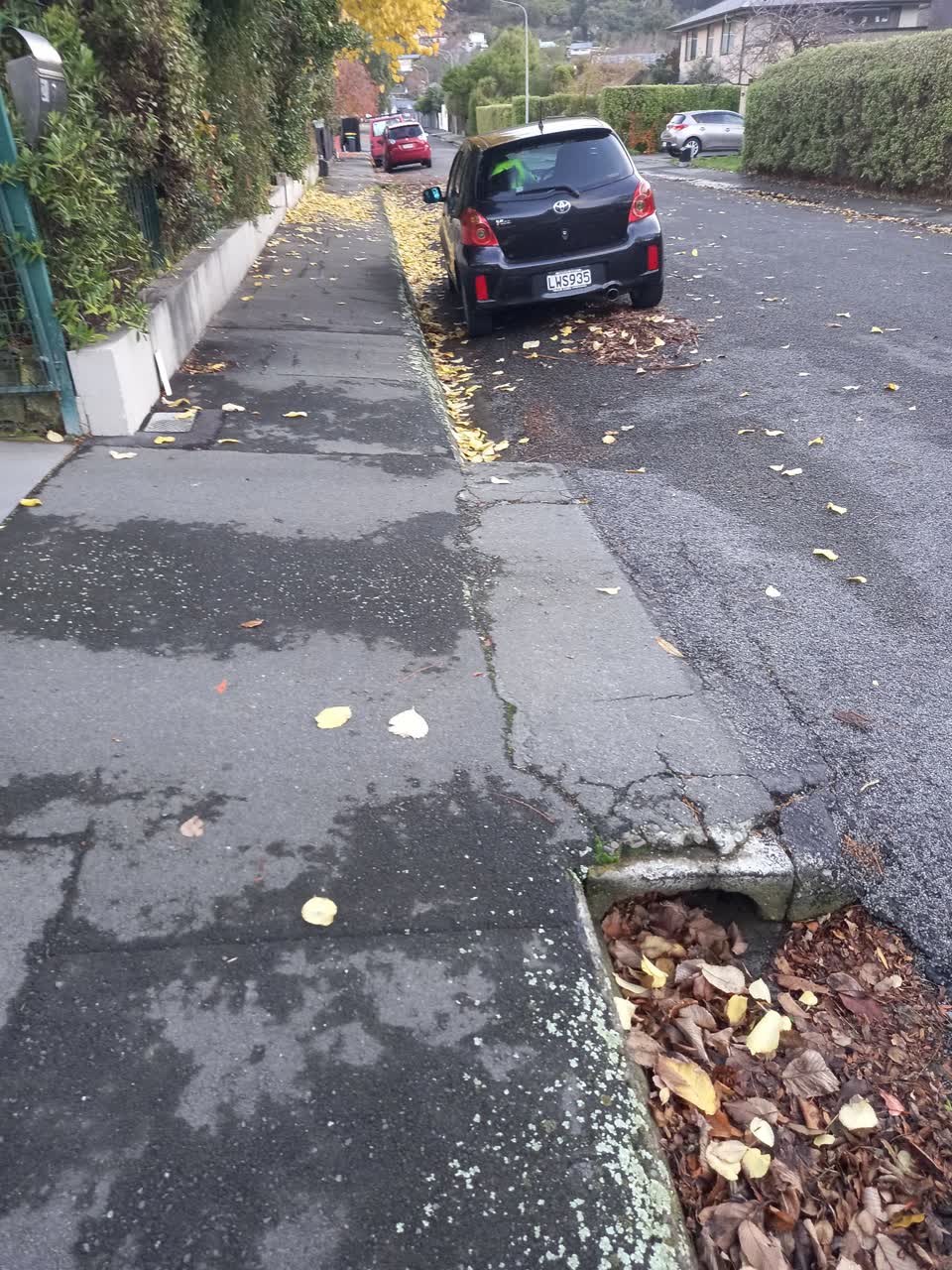 The photograph attached to this roading/streets report