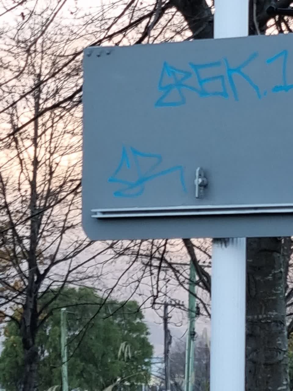 The photograph attached to this graffiti report