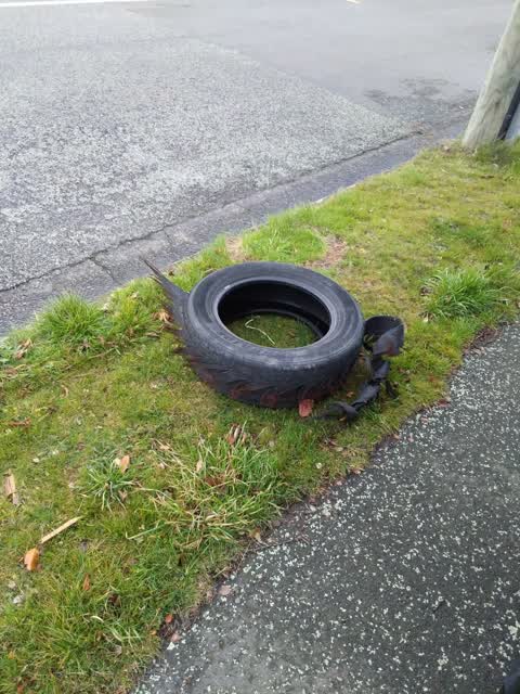Rubbish/Recycling, a report photo