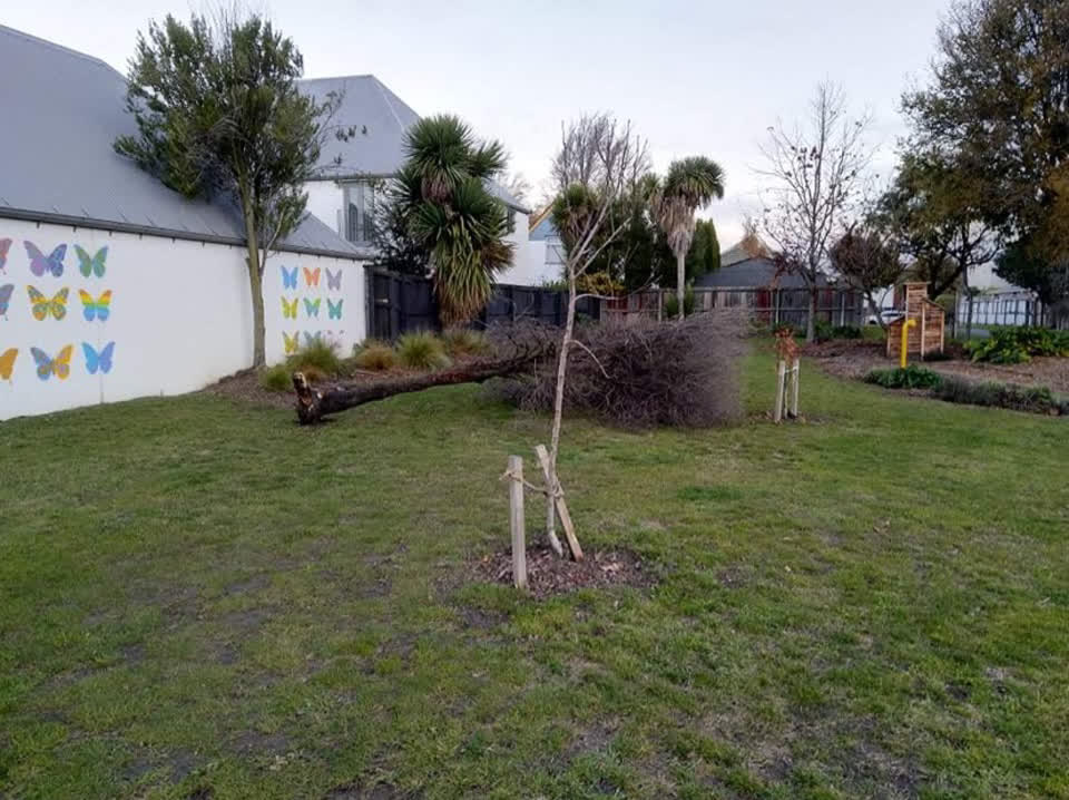 The photograph attached to this parks report