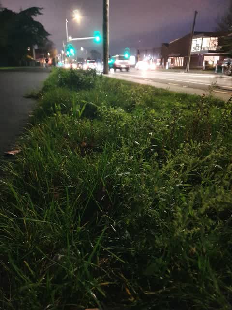 Roading/Streets, a report photo