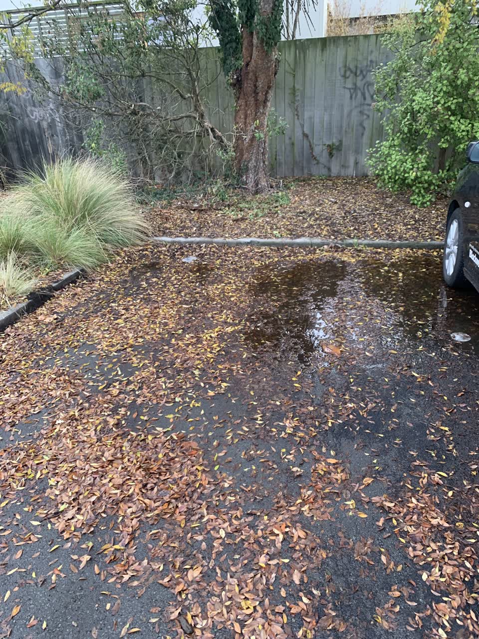 The photograph attached to this parks report