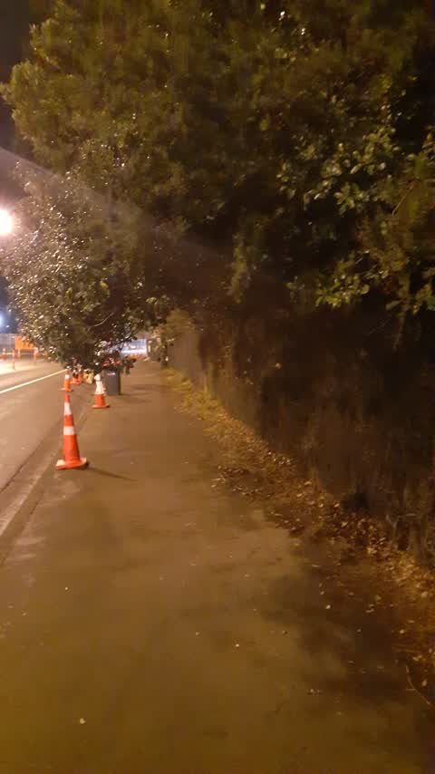 Roading/Streets, a report photo