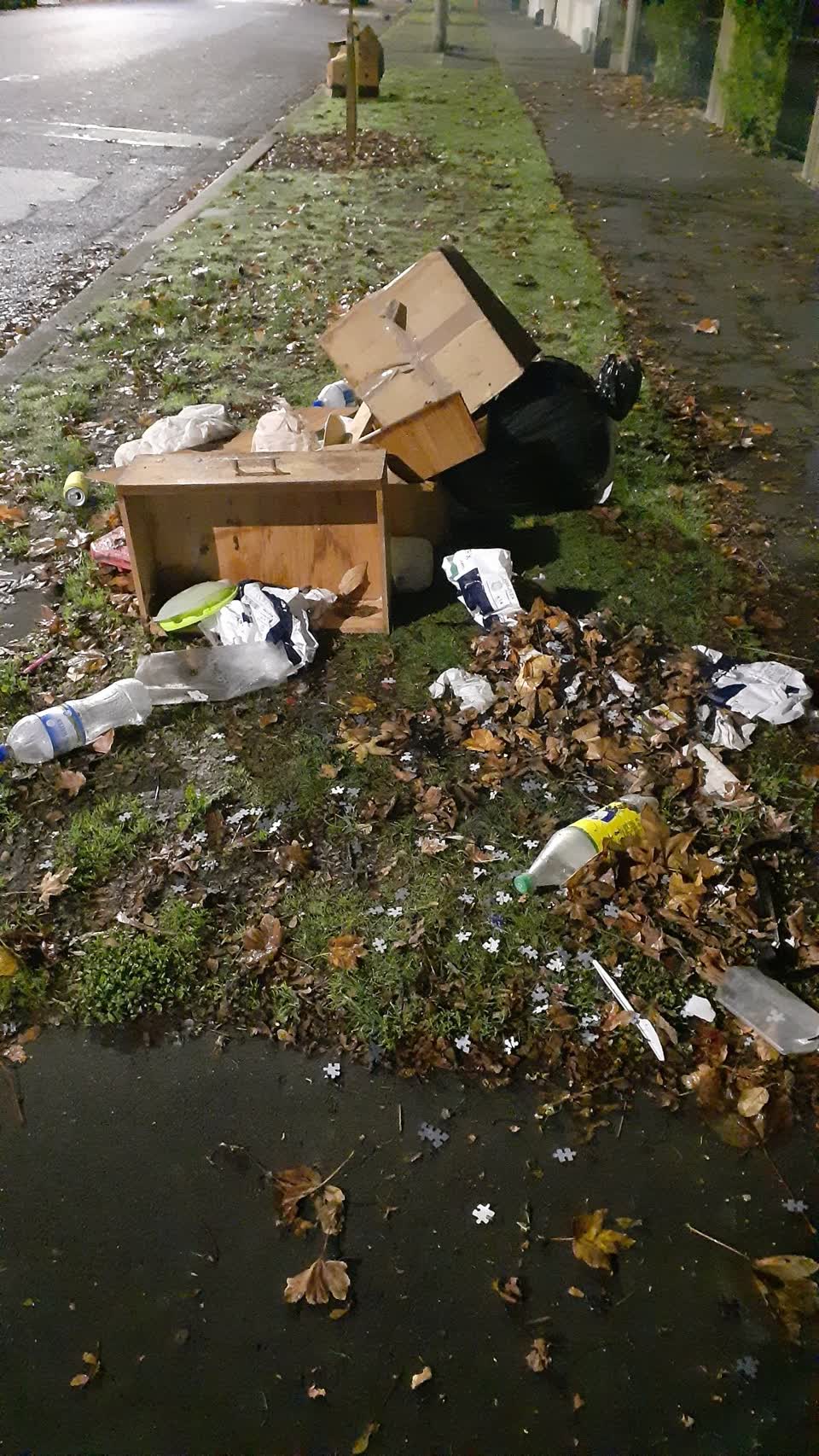 The photograph attached to this rubbish/recycling report