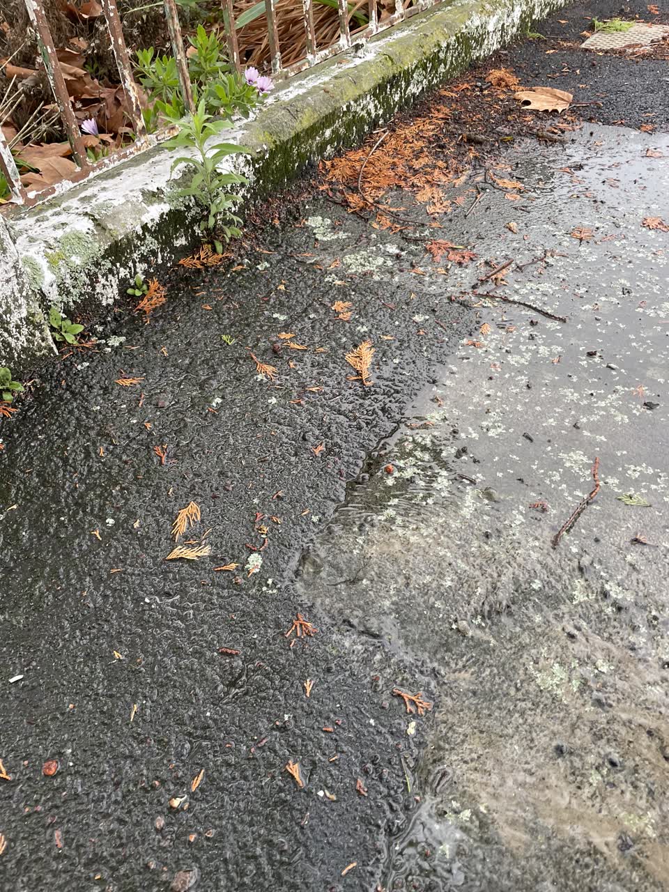 The photograph attached to this water leak report