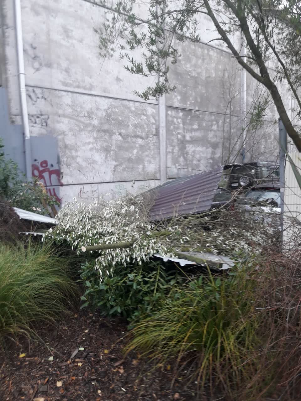 The photograph attached to this parks report