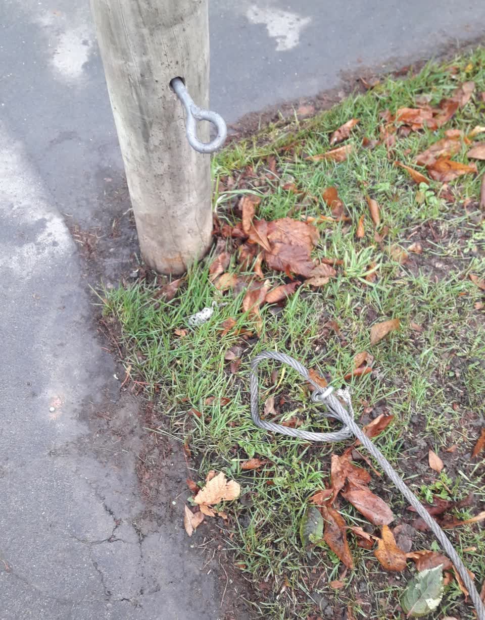 The photograph attached to this parks report