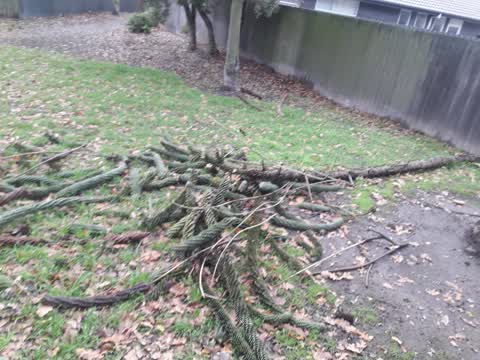 Parks — a report photo