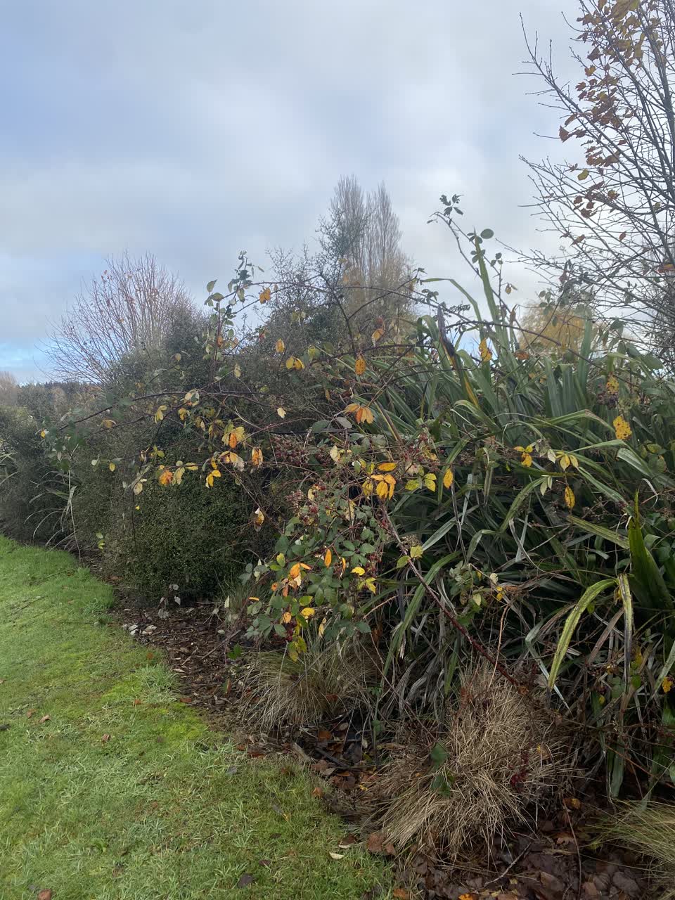 The photograph attached to this parks report
