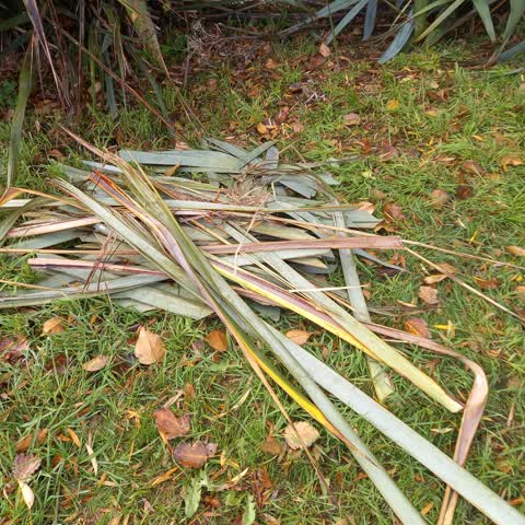 Rubbish/Recycling, a report photo
